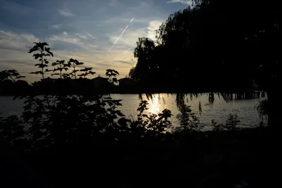 DSC_2900 (Large).JPG